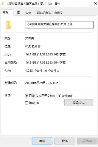 《深圳粤港澳大湾区车展》图片（3）