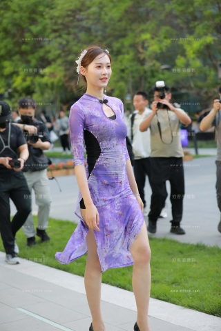 小龙鼠---紫色裙