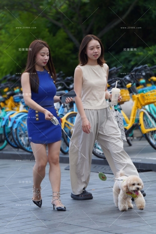 养狗狗的蓝色裙美腿美女