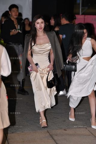 时尚长裙优雅美女